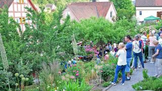 Zahlreiche Besucher strömten am Samstag gegen Abend in den Romschlössle-Garten in Creglingen, um das romantische Ambiente zwischen zahlreichen Rosen und Obstbäumen zu genießen.