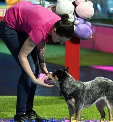 Carmen Weiß mit „Cola“ in der Show „Top Dog Germany“.