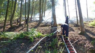 Teilweise mussten die Einsatzkräfte Leitern aufstellen, um das unwegsame Gelände zu überwinden.