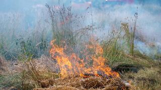 Die Flammen eines Feuers fressen sich über eine Wiese.