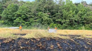 Ein Flächenbrand zwischen Dainbach und Schweigern beschäftigte die Feuerwehr am Dienstagabend.