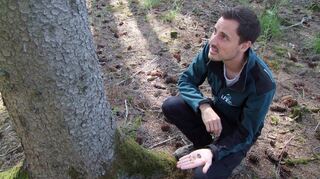 Patrick Halbauer erklärt den Schädlingsbefall an einer Fichte. Diese seien in ihrer jetzigen Häufigkeit im Wald der Zukunft wohl nicht mehr zu erhalten.