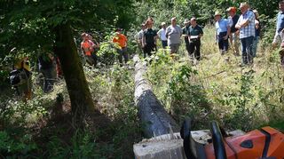 Angesägt und umgezogen: Hardheimer Gemeinderäte konnten live verfolgen, wie der Einsatz eines UVV-Schleppers die Arbeitssicherheit im Wald erhöht.