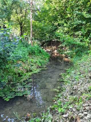 Der Hachteler Bach im gleichnamigen Stadtteil von Bad Mergentheim: In Flüssen und Bächen wird aktuell das Wasser knapp, das Landratsamt schränkt deshalbdie Entnahme per Allgemeinverfügung ein.