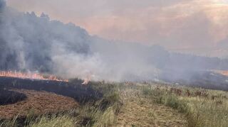 Großes Lob zollte Königheims Bürgermeister Ludger Krug den Einsatzkräften für ihr tatkräftiges Engagement.