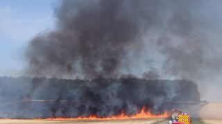 Mehrere Hektar Ackerfläche standen in Flammen. Beim Löschen galt es, Übergriffe auf den Wald zu verhindern.