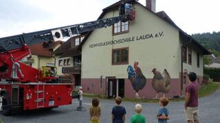Die Schwalbennisthilfen sind mit der Drehleiter angebracht worden.