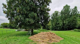 Hier, direkt hinter dem Sportheim in Unterbalbach, an der Tauber, wurde die schwer verletzte Frau, hilflos unter einem Einkaufswagen liegend, gefunden.