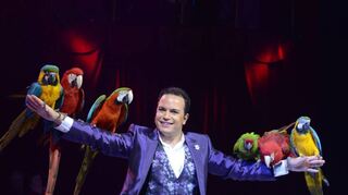 Mit seinen bunten Papageien bringt Alessio Fochesato aus Italien Farbe und Faszination ins große Circuszelt.