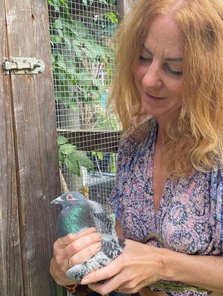 Alexandra Hollenbach kümmert sich um geschwächte Tauben. Sie setzt sich für ein Taubenhaus in der Stadt ein.