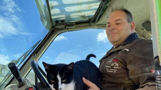Katze „Hexe“ fährt auch gerne mit Volker Werr auf dem Traktor mit.