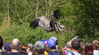Den öffentlichen Teil des Wildparks kennen viele und schätzen ihn. Abseits der Besucherrouten gibt es auch einiges zu entdecken.
