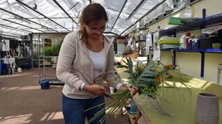 Sobald die Blumen in einem Strauß angeordnet sind, werden die Stiele mit einer Schere auf eine Länge gebracht und danach schräg angeschnitten. FN-Volontärin Stefanie Cabraja legt Hand an.