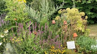 Der Lehr- und Schaugarten „Fürstin Theresa“ in Kupferzell hat sich um die Auszeichnung mit der Plakette „Natur im Garten“ beworben und wurde von einer Prüfungskommission begutachtet.