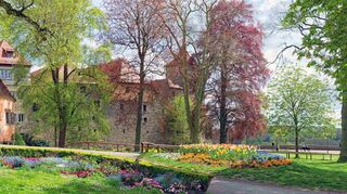 Teil des „Hohenloher Gartennetzwerks“: Der Rothenburger Burggarten ist eine grüne Oase und bietet wundervolle Ausblicke hinunter ins Taubertal.
