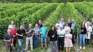 Das Weinfest im Schüpfer Grund steht vor der Tür: Das Weingremium traf sich vorab in den Weinbergen im Gewann „Ränklein“ in Unterschüpf.