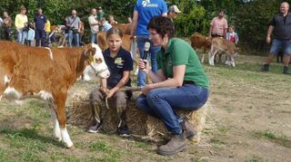 Auch Wissen rund ums Kalb müssen die Kinder beim Vorführwettbewerb mitbringen.