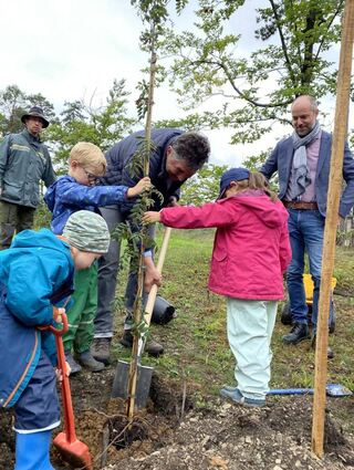 Tatkräftig halfen die Kinder des Naturkindergartens beim Einpflanzen des ersten Baumes mit.