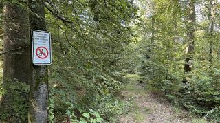 Mit dem Rad ist es verboten, auf dem Fichtenpfad in Walldürn zu fahren. Laut dem Landeswaldgesetz ist allgemein das Fahren mit den Zweirädern auf Wegen, die keine zwei Meter breit sind, nicht erlaubt.