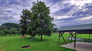 An dieser Stelle beim alten Sportplatz in Unterbalbach wurde die 61-Jährige Opfer einer Gewalttat – mit schlimmen Folgen.