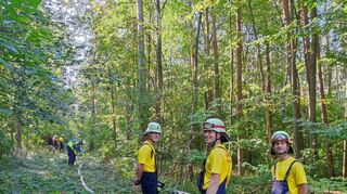 Die Floriansjünger der Feuerwehr Niederstetten, die zum Übungskorridor der „Fußgruppe“ gehörten, testeten mittels einer Wasserförderung über eine lange Wegstrecke Material und Know-how der beteiligen Feuerwehren (linkes Bild). In teils sehr unwegsamen Gelände wurde die Taskforce Vegetationsbrandbekämpfung sehr stark bei der Großübung in Schirmbach gefordert.