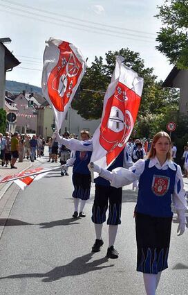 Die Fahnenschwinger aus Tauberbischofsheim in Aktion.