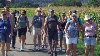 Das gemeinsame Wandern und die Geselligkeit genossen am Sonntag die Teilnehmenden des zwölften Külsheimer Weinwandertags.