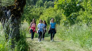 Wandern liegt im Taubertal voll im Trend: Von Freitag, 13., bis Sonntag, 15. Oktober, finden die 16. Taubertäler Wandertage mit geführten Wanderungen zu vielfältigen Themen statt.