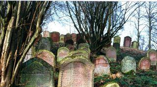 Der Jüdische Friedhof in Külsheim.
