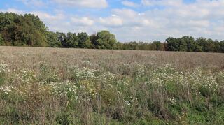 Um den Solarpark „Gretenhecken“ ging es bei der jüngsten Sitzung des Gemeinderates.