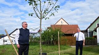 Die Bürgermeister Richard Tischler und Joachim Markert (von links) pflanzten einen Apfelbaum in Pfreimd als Symbol der mittlerweile 50-jährigen Städtepartnerschaft.