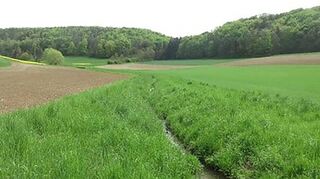 Wie lassen sich Biotope miteinander verbinden, damit Tiere und Pflanzen ein geregeltes Rückzugsgebiet haben und ein ausreichendes Nahrungsmittelangebot vorfinden? Das ist eine Aufgabe des Biotopverbundplanes.