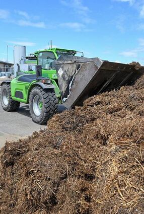 Wärmegewinnung durch Biomasse – in diesem Bereich stecken für die Stadt Buchen große Potenziale auf dem Weg zur Klimaneutralität.