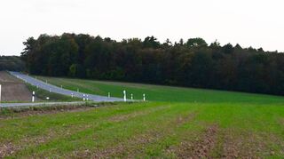 In diesem Waldstück zwischen Großrinderfeld und Gerchsheim sollen nach dem Willen des Gemeinderates drei Windkraftanlagen der Energiegenossenschaft Großrinderfeld entstehen.