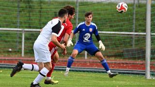 Für den TSV Tauberbischofsheim (im Bild unter anderem Keeper PatrickBier) läuft es derzeit wie geschmiert.