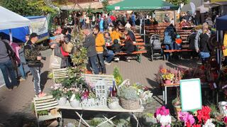 Bunt war das Angebot beim Mudauer Bauernmarkt, der auch in diesem Jahr für Jung und Alt etwas zu bieten hatte.