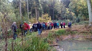Rund 40 Wanderlustige nahmen an der Wanderung des Obst- und Gartenbauvereins Buch anlässlich der Taubertäler Wandertage teil.