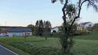 Am Ortsausgang von Rauenberg in Richtung Ebenheid soll ein neues Mischgebiet entstehen, in dem unter anderem der Bau des gemeinsamen Feuerwehrgerätehauses für Wessental und Rauenberg geplant ist.