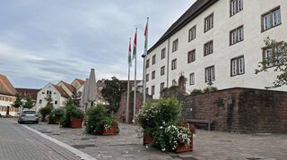 Die Ausrichtung der vier Parkplätze auf dem Schlossplatz soll gedreht werden, damit mehr Pkws halten können.