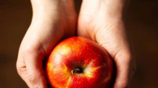 Äpfel sind das am häufigsten weggeworfene Obst in deutschen Haushalten, obwohl diese meist noch essbar wären.
