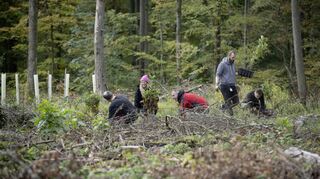Baumpflanzaktion der Adolf Würth GmbH & Co. KG in Zusammenarbeit mit dem Forstamt des Hohenlohekreises.