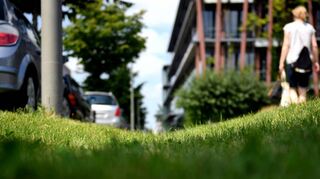Rigolen am Straßenrand sorgen zum Beispiel für die Reinigung und den guten Ablauf von Regenwasser. Eine so genannte „Schwammstadt“ soll die Kanalisation mit grünen Dächern, die Regenwasser aufsaugen, bepflanzten Fassaden und unversiegelten Flächen entlasten.