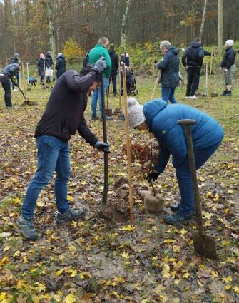 Paare, die in den vergangenen beiden Jahren in Külsheim geheiratet haben, pflanzten im Hochzeitswald jeweils einen eigenen Baum.