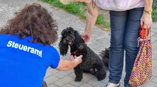 Ein Hund begrüßt die Mitarbeiterin einer Finanzbehörde. In Boxberg wird die Hundesteuer zum Jahreswechsel deutlich angehoben.
