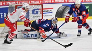 Adler chancenlos: Nico Dünner von Rapperswil (l.) gegen den Mannheimer David Wolf.