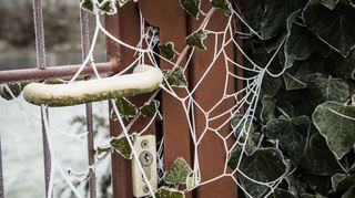 Auch im Winter gibt es genug zu tun, um den Garten in Schuss zu halten und sich auf die nächste Gartensaison vorzubereiten.