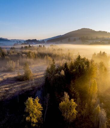 Herbstnebel liegt über Oberstaufen.