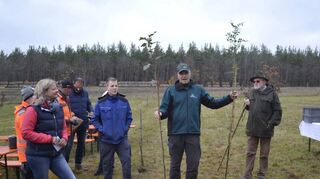 29 relativ frisch verheiratete Ehepaare nahmen an der Pflanzaktion im Hochzeitswald auf dem Hamberg teil.
