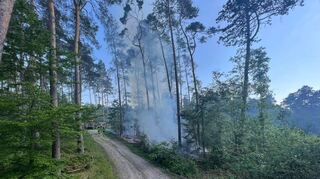 An vier Tagen hat es im Jui in Tauberbischofsheimer Wäldern gebrannt.
