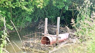 Der Biber gestaltet sich seine Landschaft gerne selbst, zum Leidwesen der Landwirte und Straßennutzer. Nun soll er im Grundgraben mehr Platz bekommen und gleichzeitig ein größeres Gebiet an die Natur zurückgegeben werden.